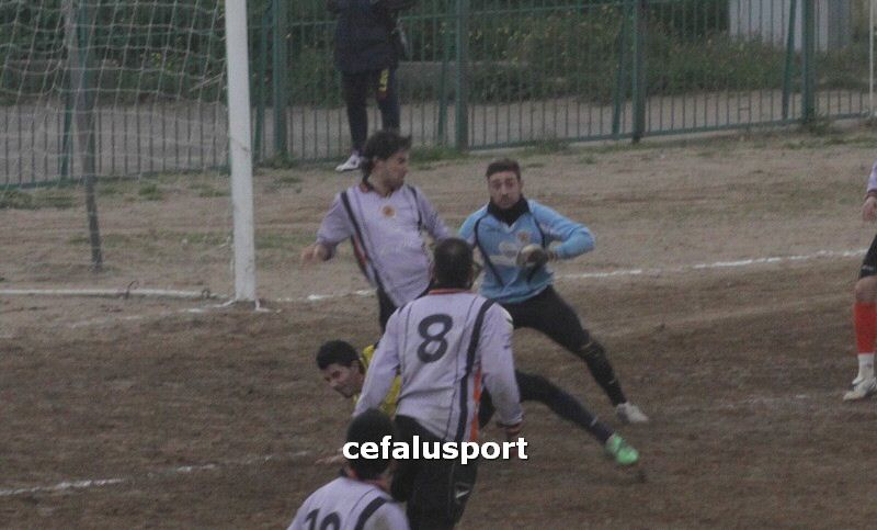 120310 stefanese 231y_tn.jpg